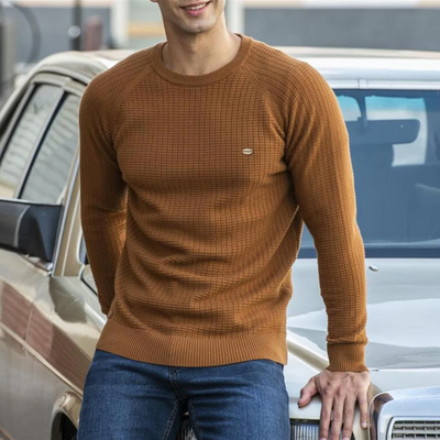 Male Round Neck Knitted Pullover